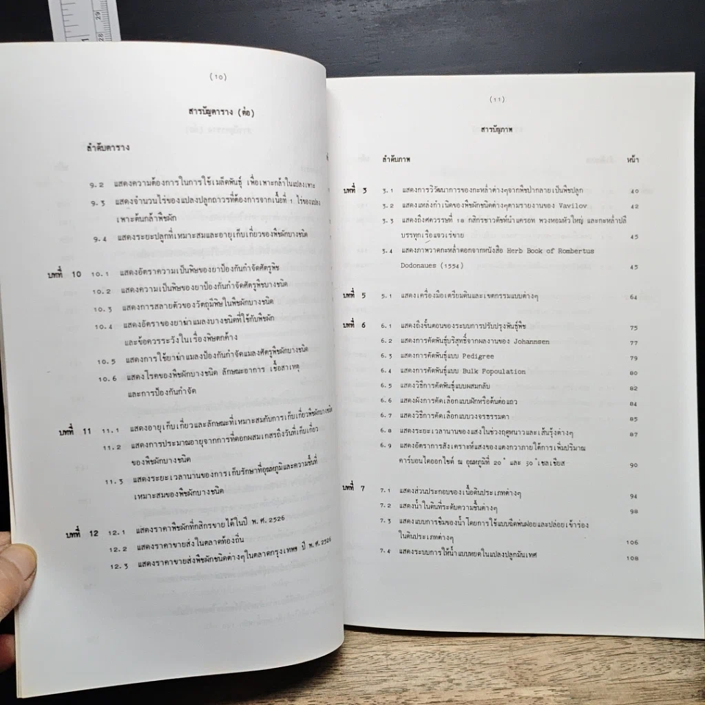 หนังสือ หลักการผลิตผัก รูปที่ 11