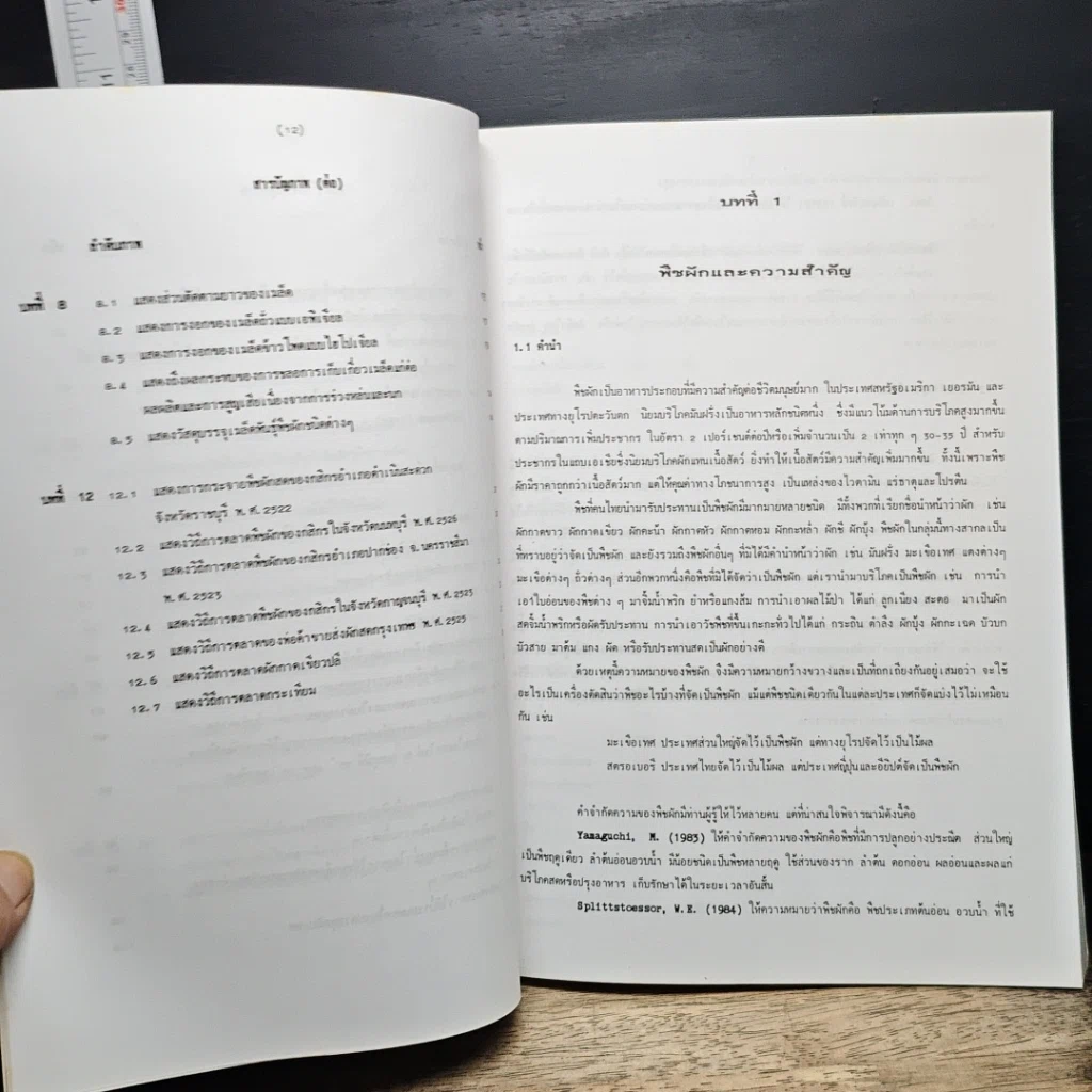 หนังสือ หลักการผลิตผัก รูปที่ 12