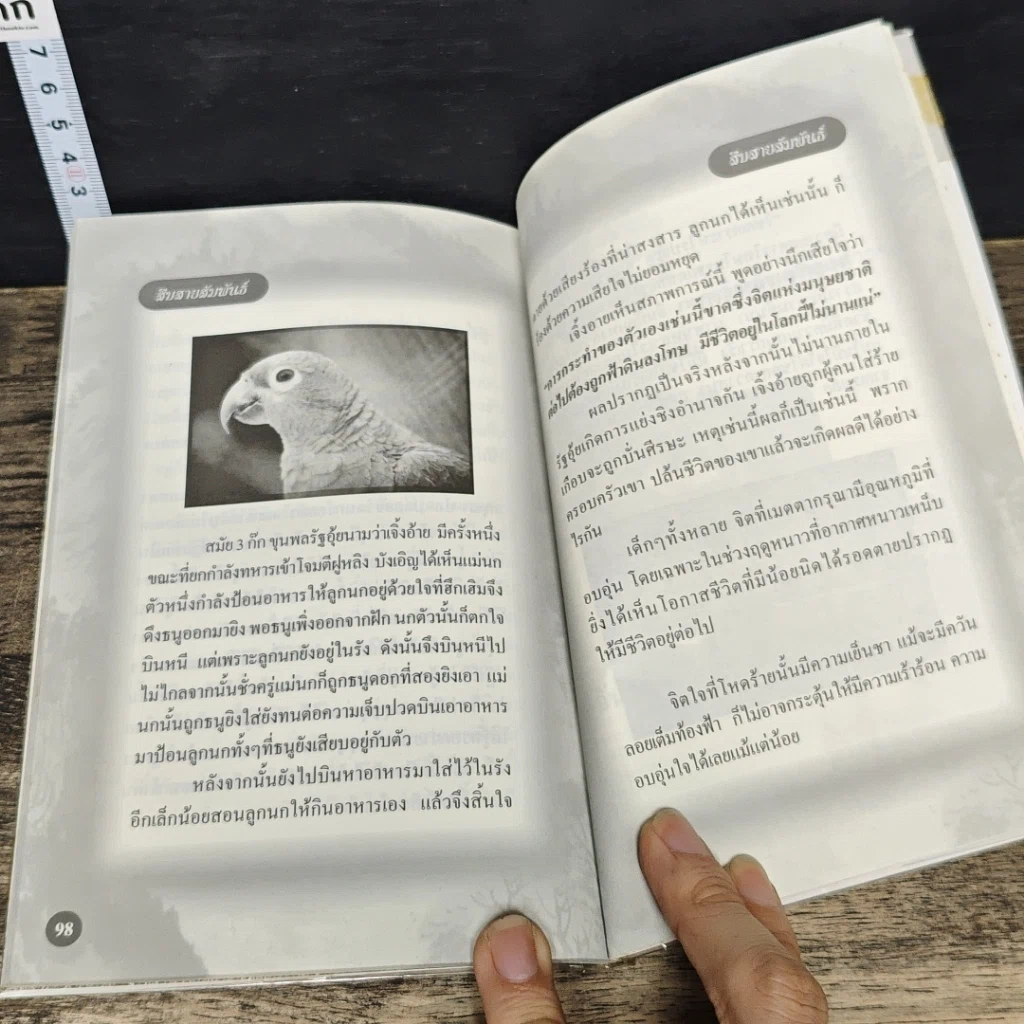 หนังสือ สืบสายสัมพันธ์ รูปที่ 9