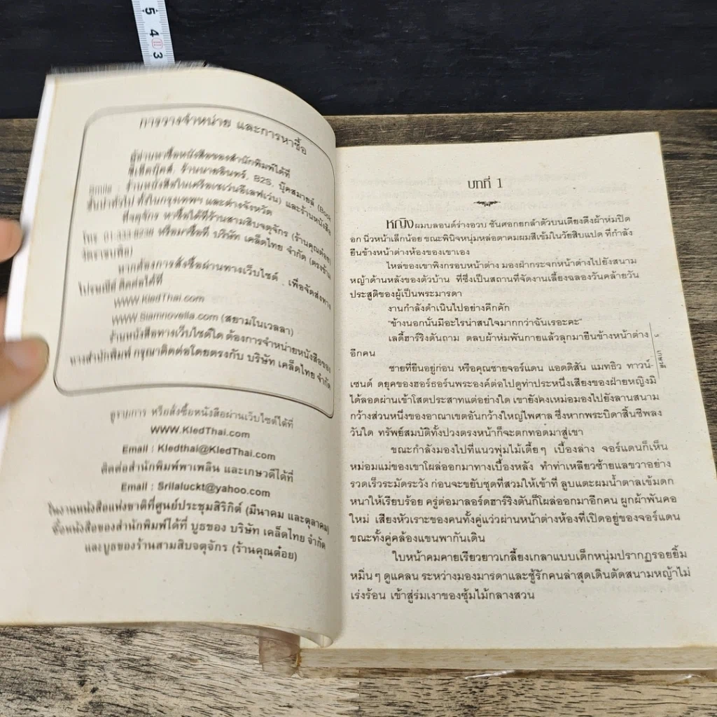หนังสือ สะใภ้เจ้า รูปที่ 6