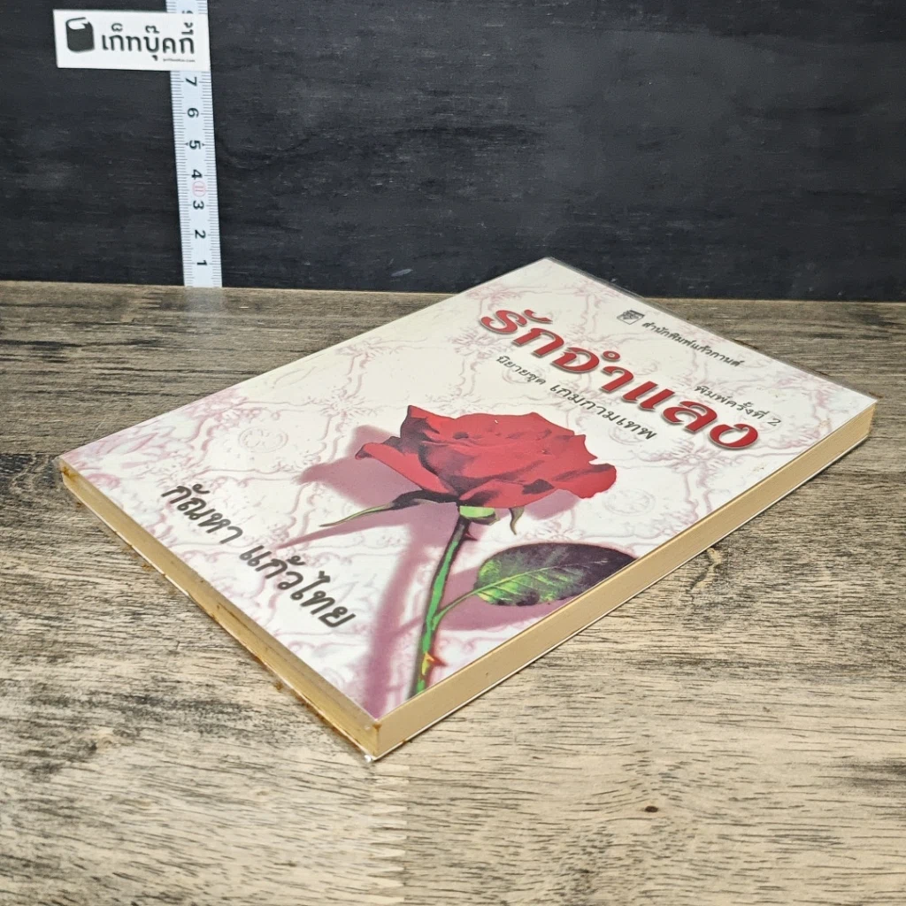 หนังสือ รักจำแลง รูปที่ 3