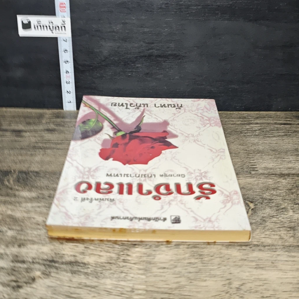หนังสือ รักจำแลง รูปที่ 4