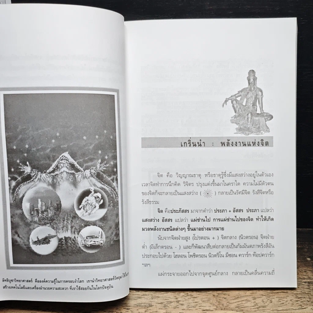 หนังสือ การแพทย์ทางเลือก รูปที่ 8