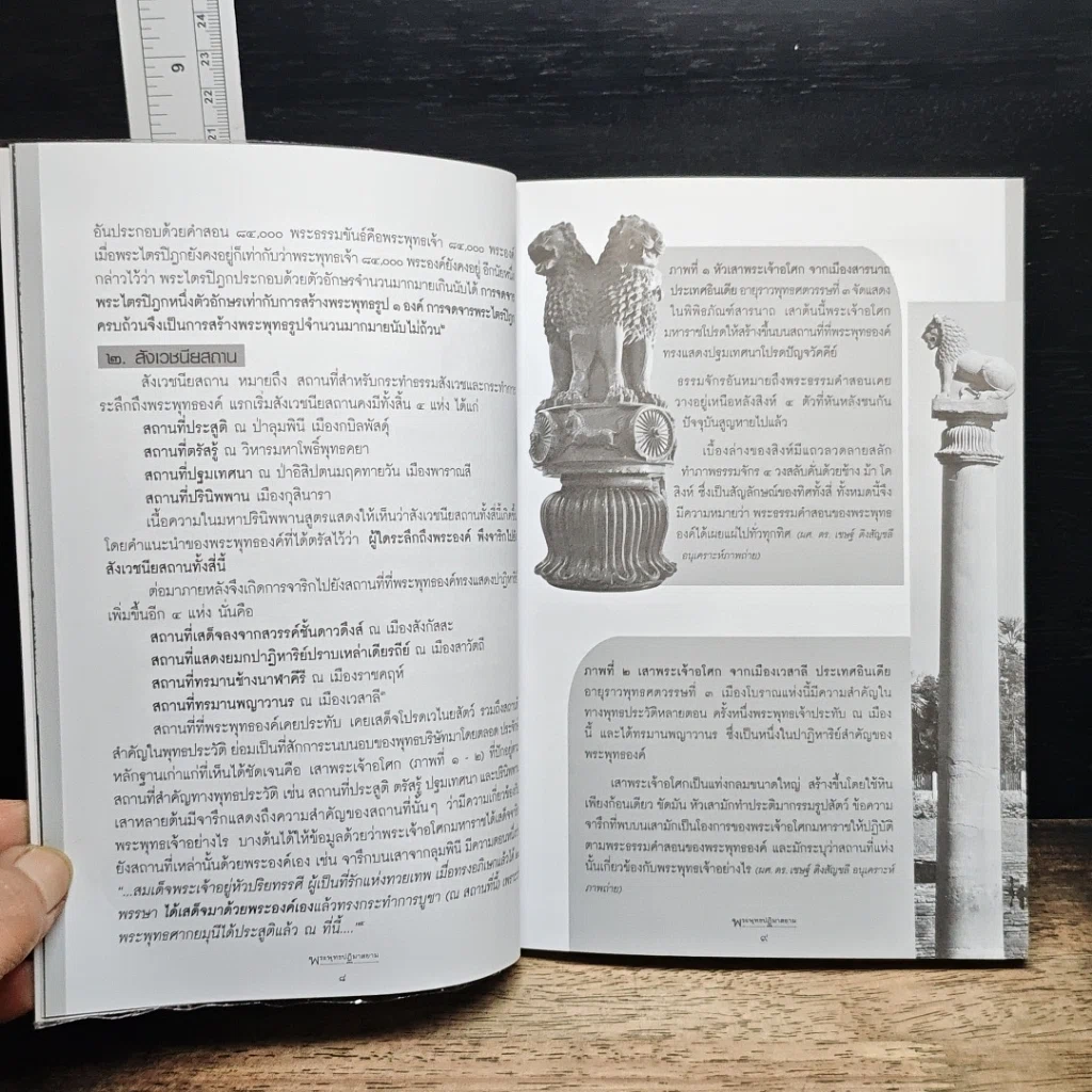 หนังสือ พระพุทธปฏิมาสยาม รูปที่ 8