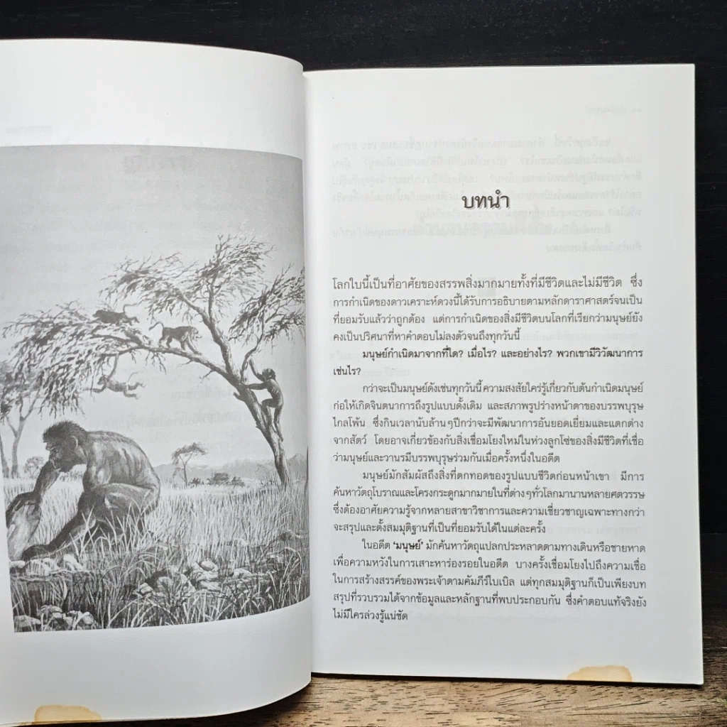 หนังสือ กำเนิดมนุษย์ รูปที่ 8