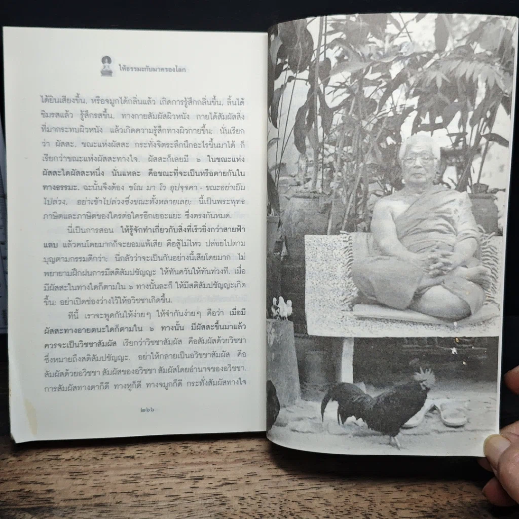 หนังสือ ให้ธรรมะกลับมาครองโลก รูปที่ 9