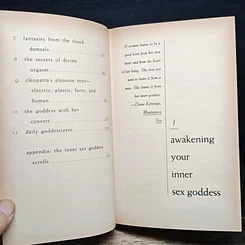หนังสือ 227 Ways to Unleash the Sex Goddess in Every Woman รูปที่ 8
