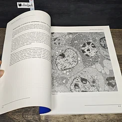 หนังสือ Handbook of Diagnostic Electron Microscopy for Pathologists-in-Training รูปที่ 8