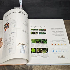 หนังสือ สวนในบ้าน เล่ม 23 สวนขนาดเล็ก 2 รูปที่ 7
