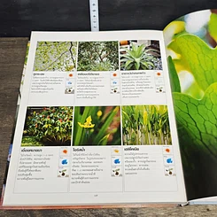 หนังสือ สวนในบ้าน เล่ม 23 สวนขนาดเล็ก 2 รูปที่ 8