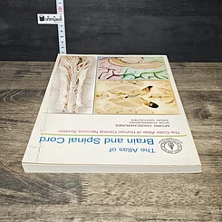 หนังสือ The Atlas of Brain and Spinal Cord รูปที่ 4