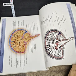 หนังสือ The Atlas of Brain and Spinal Cord รูปที่ 10