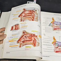 หนังสือ Atlas of Human Anatomy รูปที่ 8