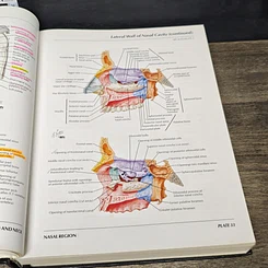 หนังสือ Atlas of Human Anatomy รูปที่ 9