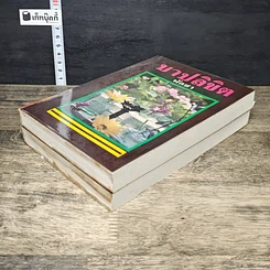 หนังสือ บาปลิขิต 2 เล่มจบ รูปที่ 4