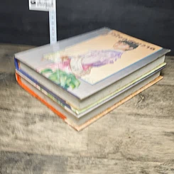 หนังสือ หัวใจคล้ายวาด 2 เล่มจบ รูปที่ 4