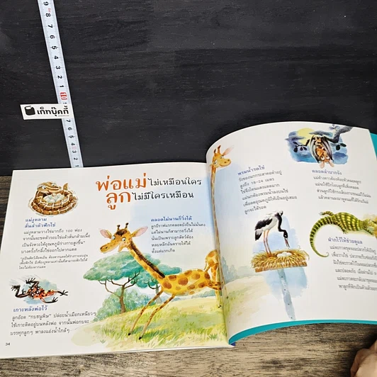 หนังสือ พ่อแม่ฉันที่หนึ่งเลย รูปที่ 8