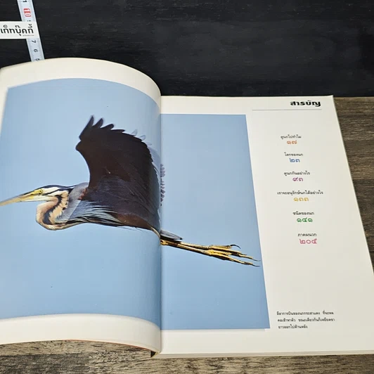 หนังสือ ดูนก รูปที่ 7
