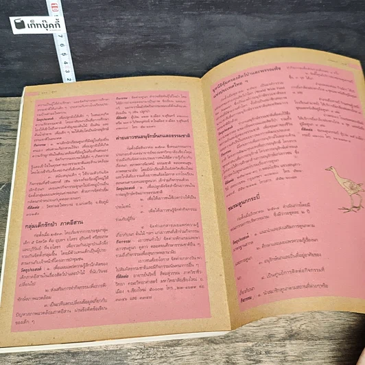 หนังสือ ดูนก รูปที่ 9