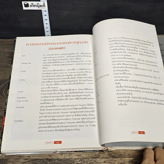 หนังสือ กุหลาบ ราชินีดอกไม้ รูปที่ 8