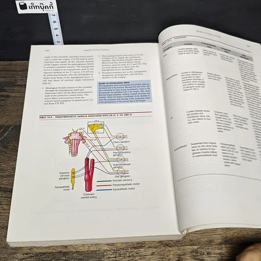 หนังสือ Essential Clinical Anatomy รูปที่ 10