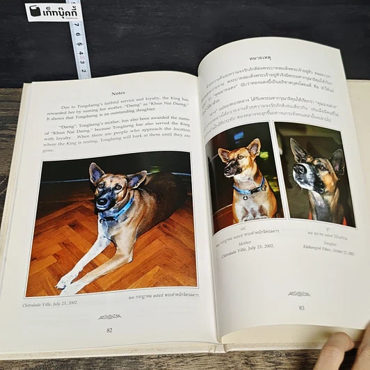 หนังสือ เรื่อง ทองแดง The Story of Tongdaeng รูปที่ 8