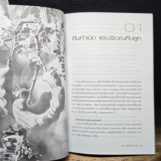 หนังสือ มะขาม พืชสร้างอนาคต รูปที่ 7