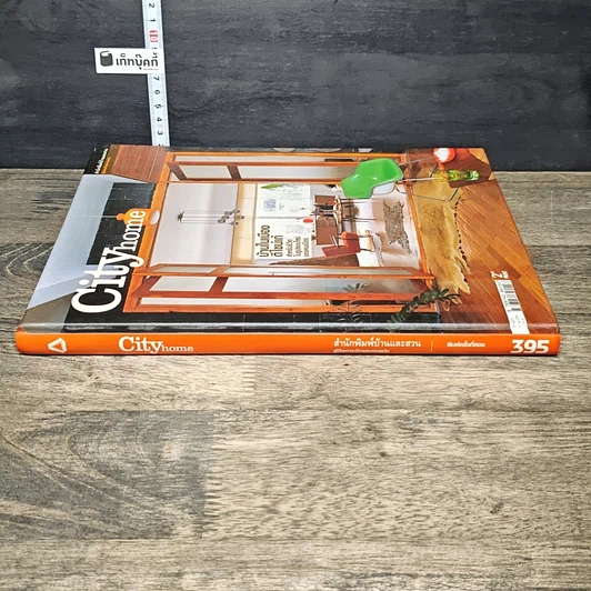 หนังสือ City Home บ้านในเมือง ดีไซน์เก๋ รูปที่ 2