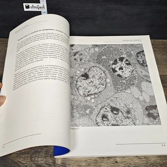 หนังสือ Handbook of Diagnostic Electron Microscopy for Pathologists-in-Training รูปที่ 8