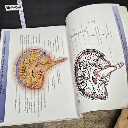 หนังสือ The Atlas of Brain and Spinal Cord รูปที่ 10