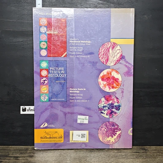 หนังสือ Wheater's Basic Histopathology รูปที่ 5