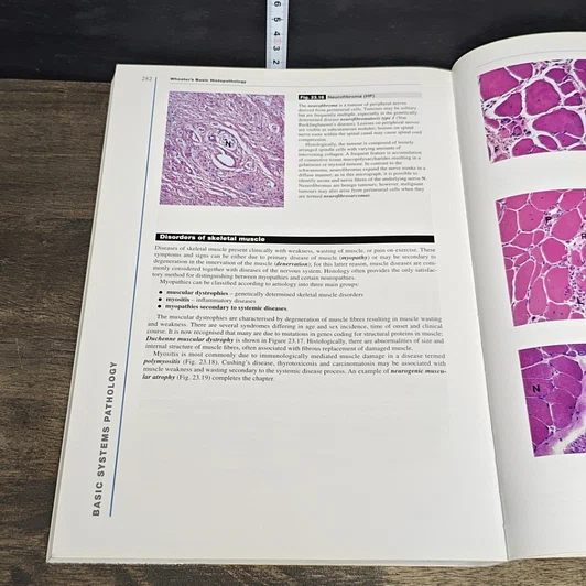 หนังสือ Wheater's Basic Histopathology รูปที่ 10