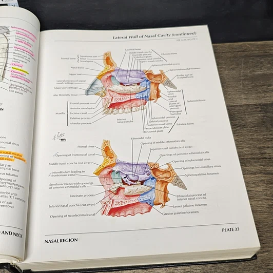 หนังสือ Atlas of Human Anatomy รูปที่ 9