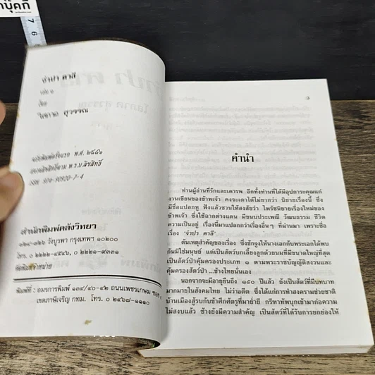 หนังสือ จำปา คาลี 2 เล่มจบ รูปที่ 6