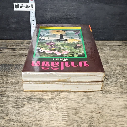 หนังสือ บาปลิขิต 2 เล่มจบ รูปที่ 5