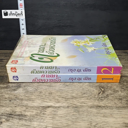 หนังสือ ตามมา...ด้วยความรัก 2 เล่มจบ รูปที่ 3