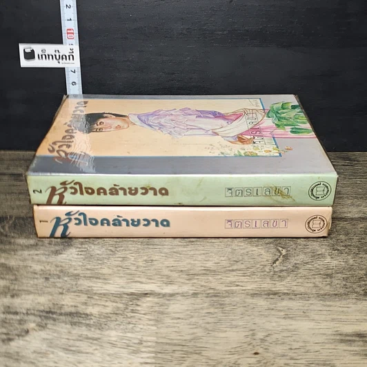 หนังสือ หัวใจคล้ายวาด 2 เล่มจบ รูปที่ 3
