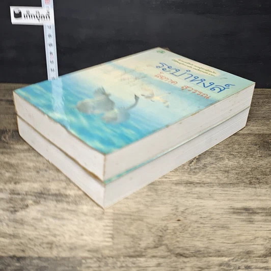 หนังสือ ระบำหงส์ 2 เล่มจบ รูปที่ 4