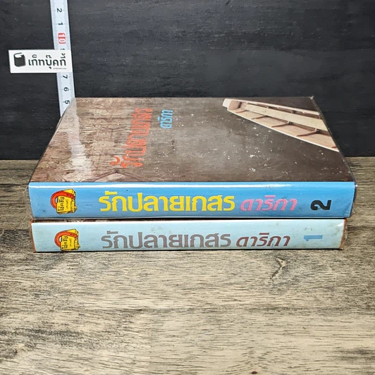 หนังสือ รักปลายนา 2 เล่มจบ รูปที่ 3