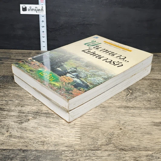 หนังสือ พนาหนาว...ไม่หนาวรัก 2 เล่มจบ รูปที่ 4