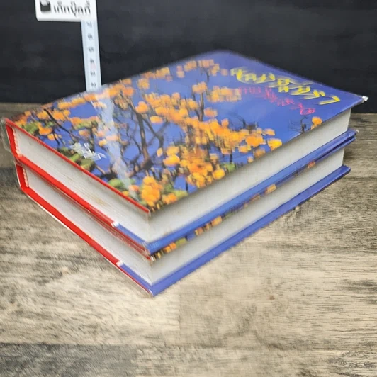 หนังสือ เสน่หาอำพราง 2 เล่มจบ รูปที่ 4