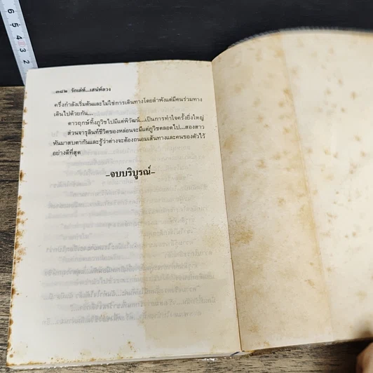 หนังสือ รักเล่ห์เสน่ห์ลวง 2 เล่มจบ รูปที่ 8