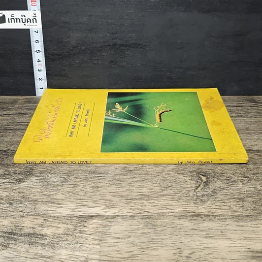 หนังสือ ใยใจฉันไม่กล้ารัก รูปที่ 2