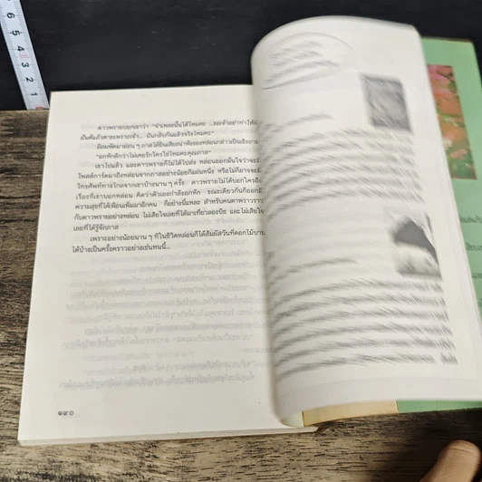 หนังสือ ดอกไม้บานที่ลองบีช รูปที่ 9