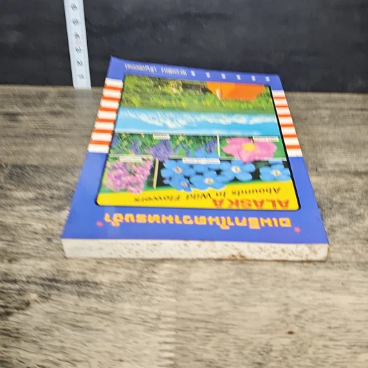 หนังสือ อเมริกาในความทรงจํา รูปที่ 4