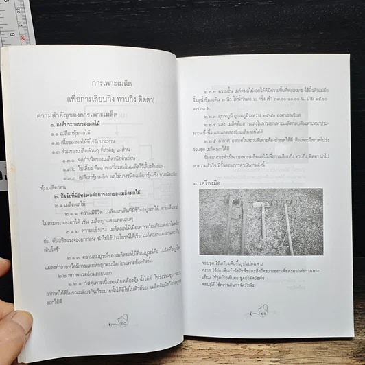 หนังสือ คัมภีร์สยบความจน ขยายพันธุ์ไม้เชิงธุรกิจ รูปที่ 8