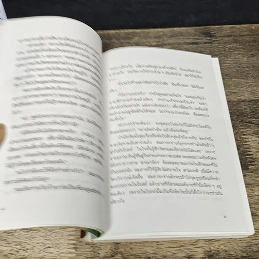 หนังสือ ไผ่แดง รูปที่ 7
