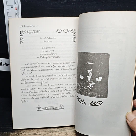 หนังสือ ชีวิตหลังความตาย รูปที่ 9