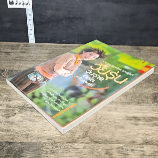 หนังสือ วัยรุ่น วุ่นวาย สดใสหรือแสบซ่า รูปที่ 3