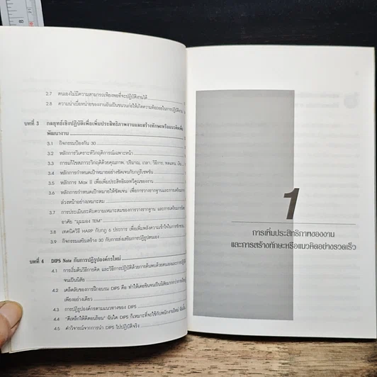หนังสือ DIPS: ระบบเพิ่มประสิทธิภาพในการเพิ่มผลิตภาพของงาน รูปที่ 8
